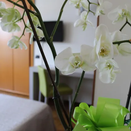 Hotel Residence Holiday Aparthotel 3*
