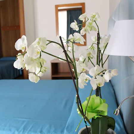 홀리데이 시르미오네